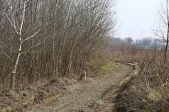 Mini IMG 3413